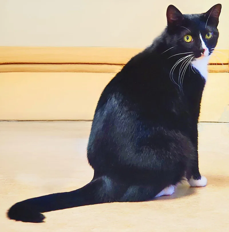 Zippyand Elli thumbnail 4