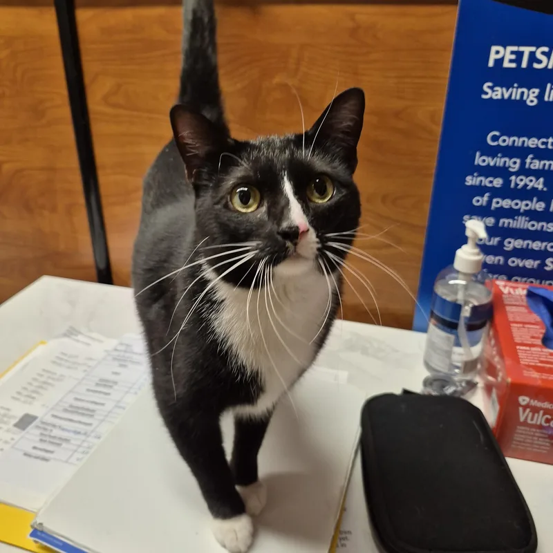 Zippyand Elli thumbnail 5