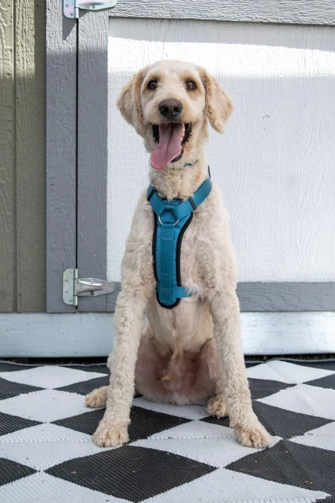 Winchester thumbnail 3