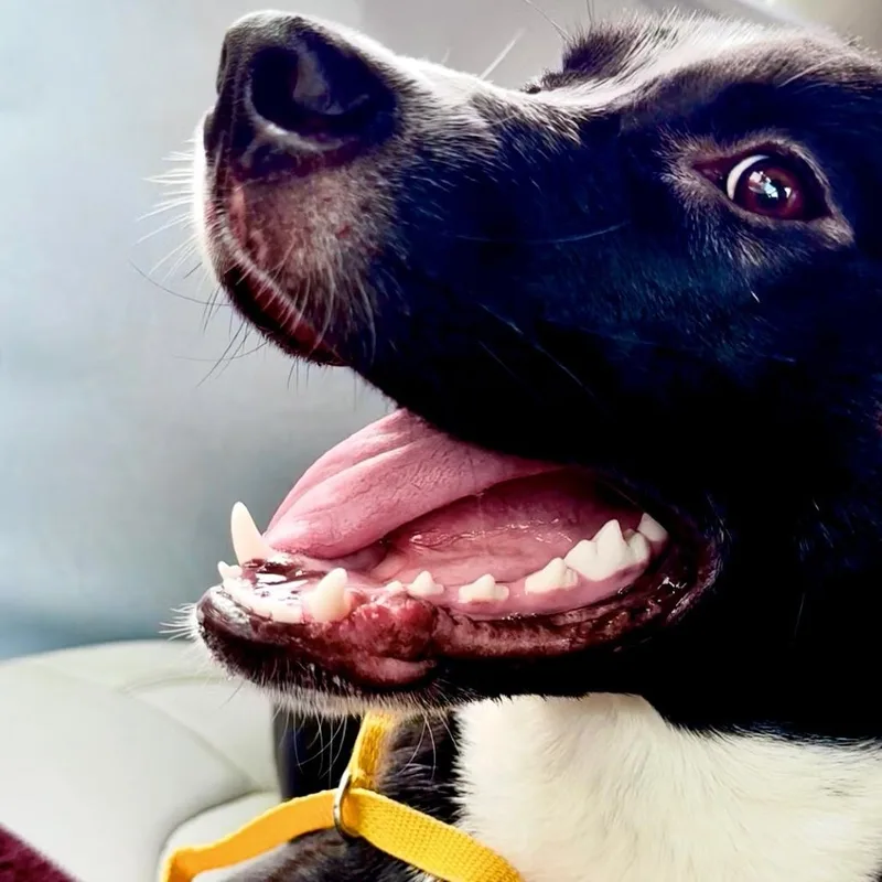 Prince Eric thumbnail 2