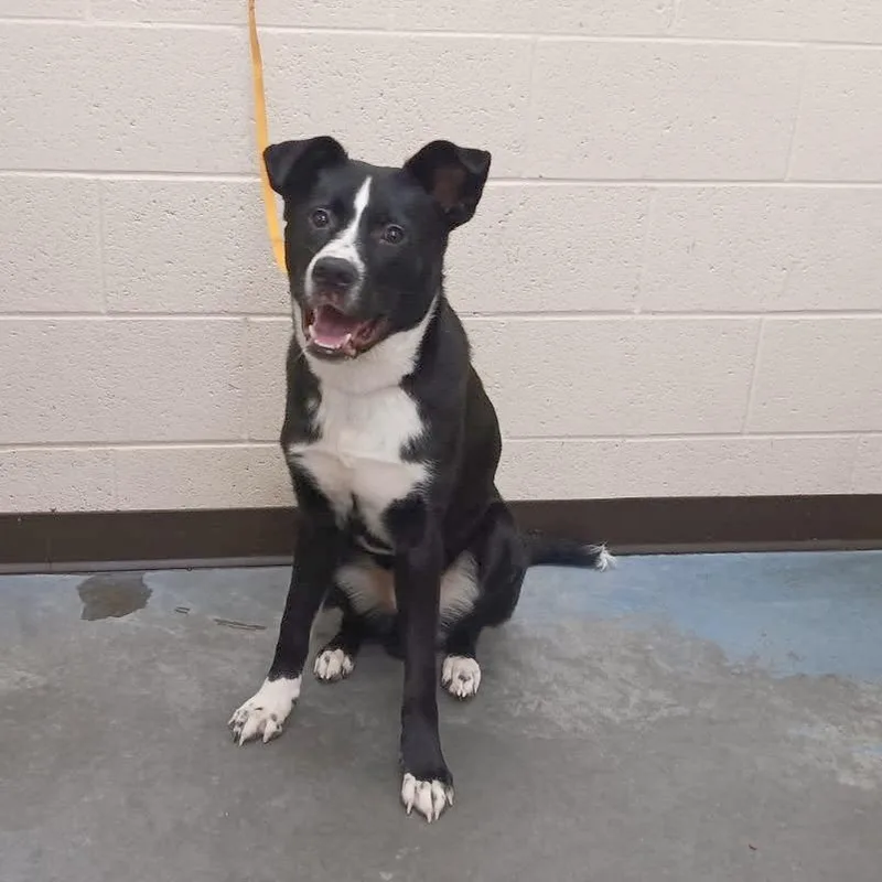 Prince Eric thumbnail 4