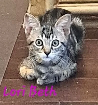 Lori Beth thumbnail 2