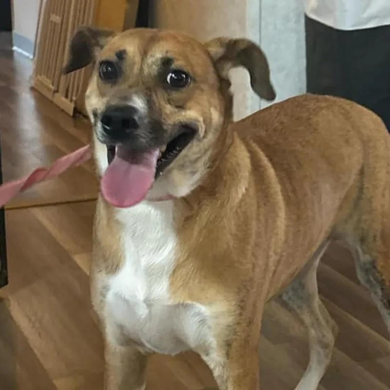 Niabi Jc thumbnail 2