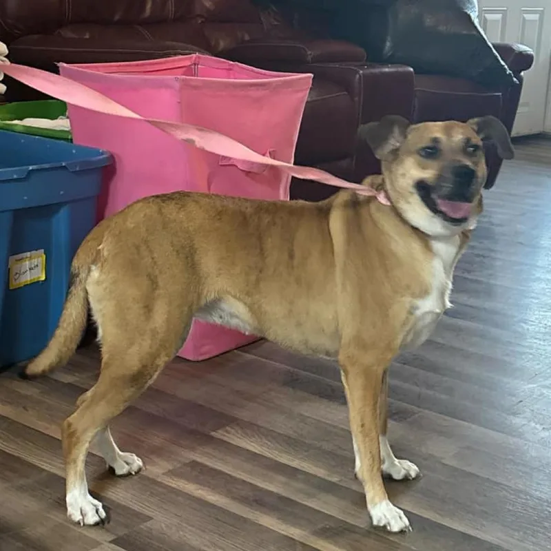 Niabi Jc thumbnail 5