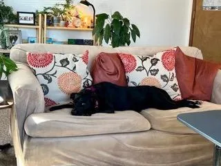 Lola In Maine thumbnail 4