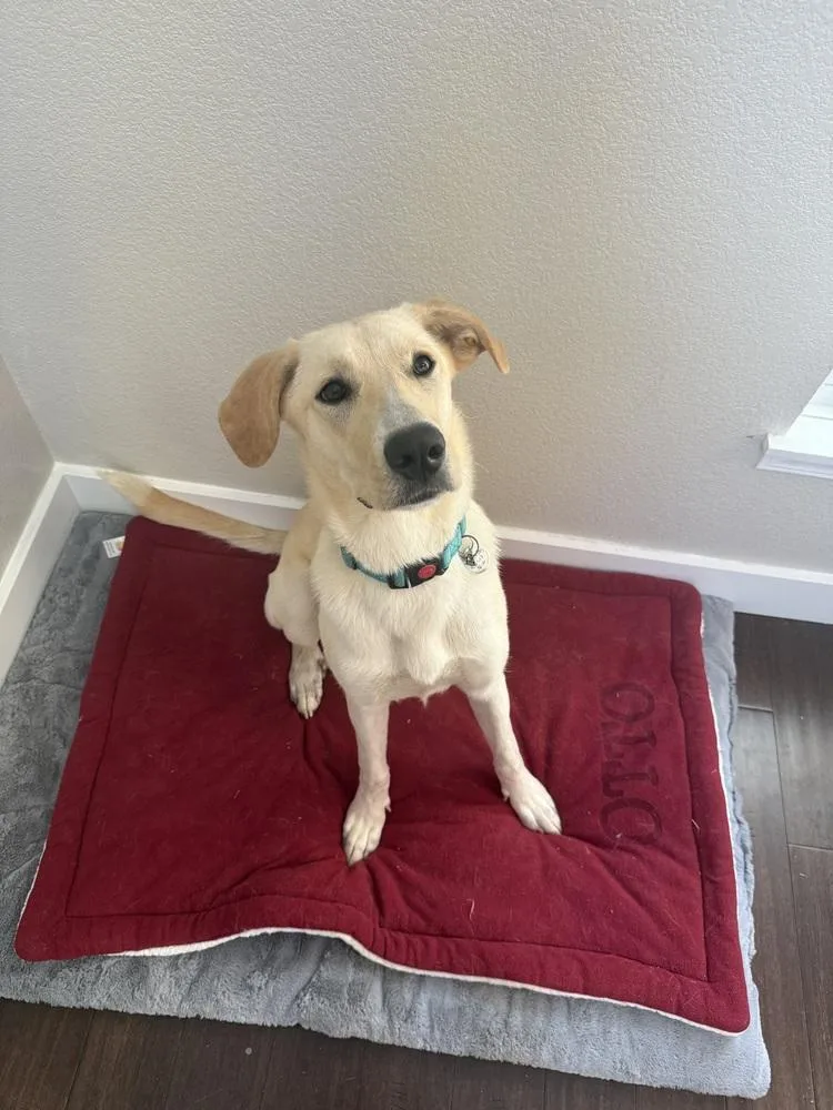 Campanale  Carrie thumbnail 2