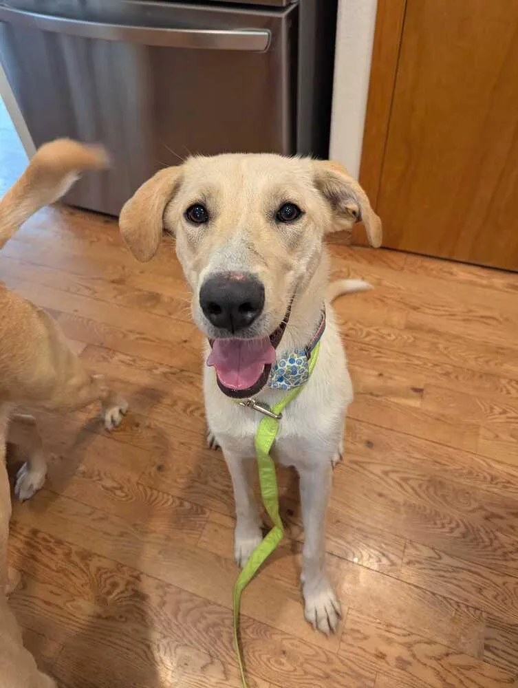 Campanale  Carrie thumbnail 3