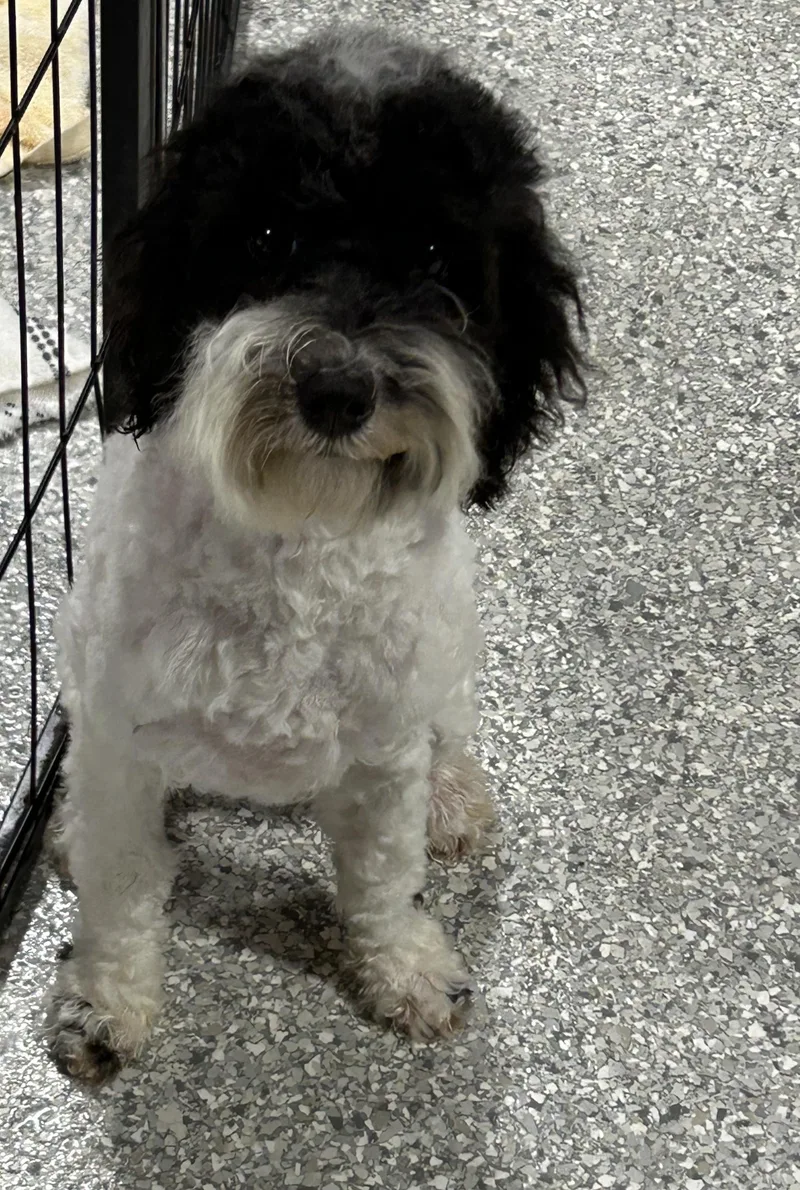 Billy.  Lbs thumbnail 2