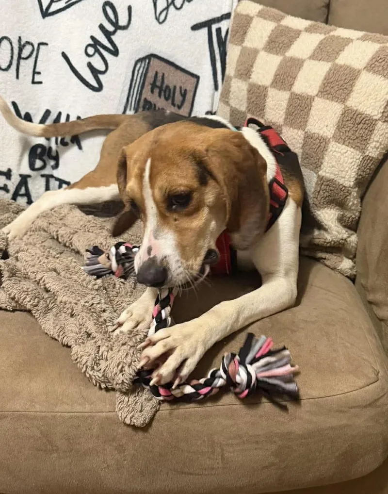 Sara Marie thumbnail 2