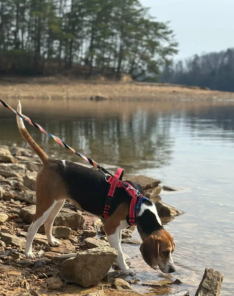 Sara Marie thumbnail 3