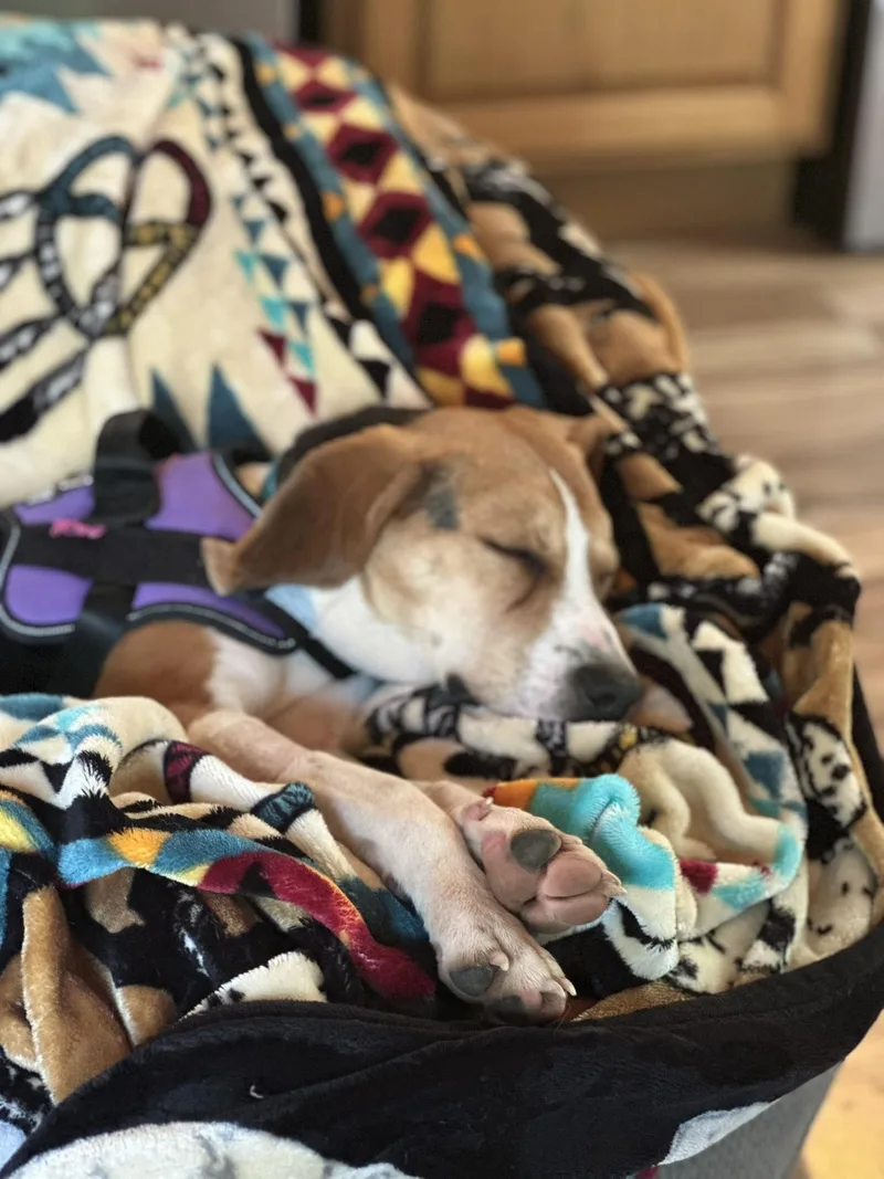 Sara Marie thumbnail 4