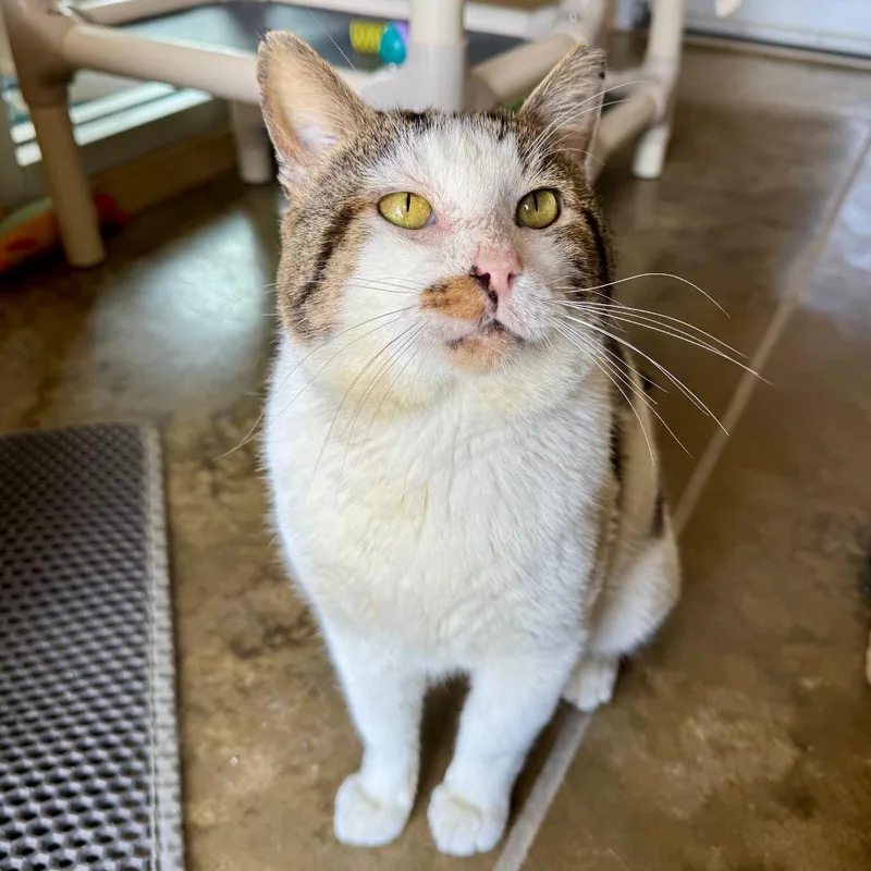 Fab Freddy thumbnail 3