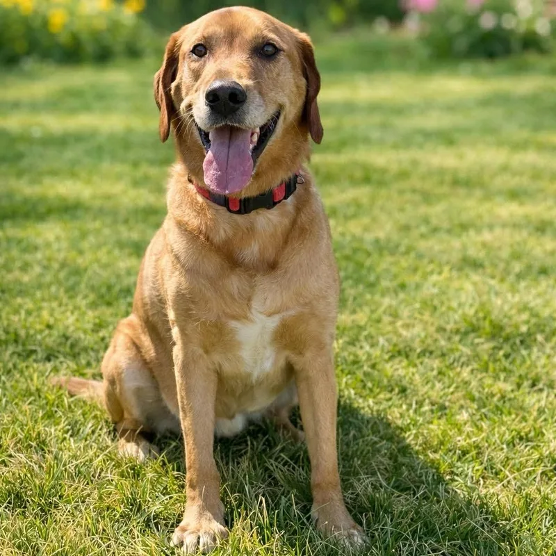 Mars And Moe thumbnail 2