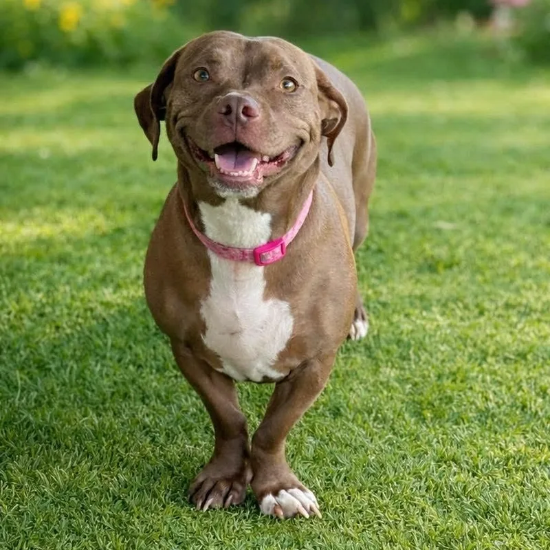 Mars And Moe thumbnail 3