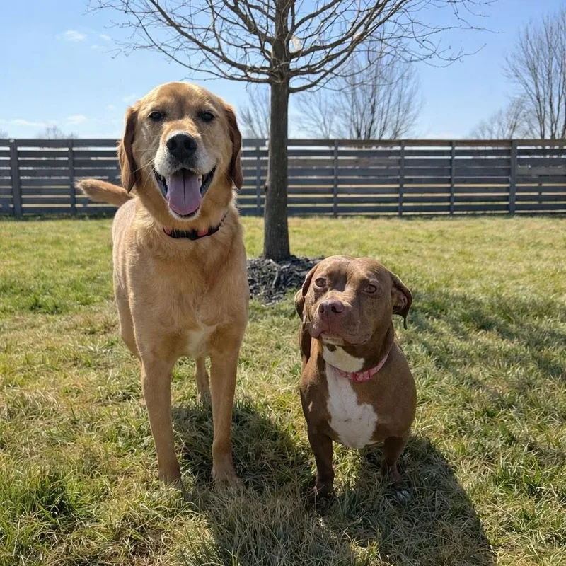 Mars And Moe thumbnail 5