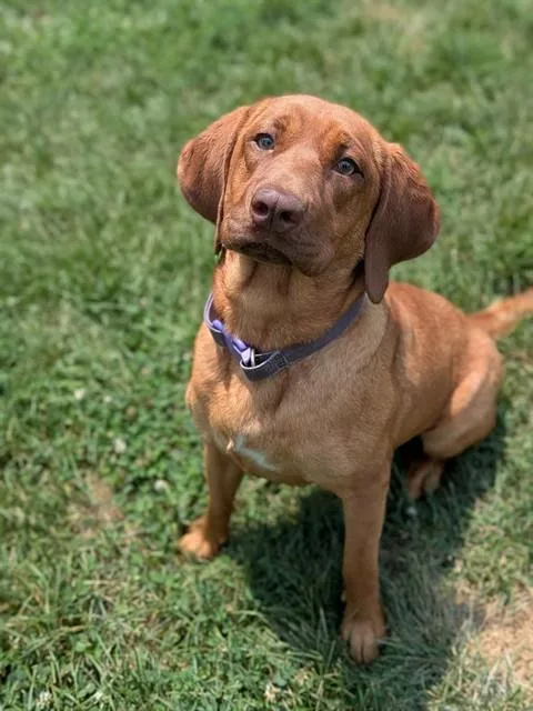 Ruby
