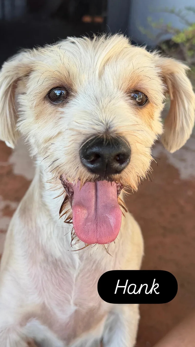 Archie