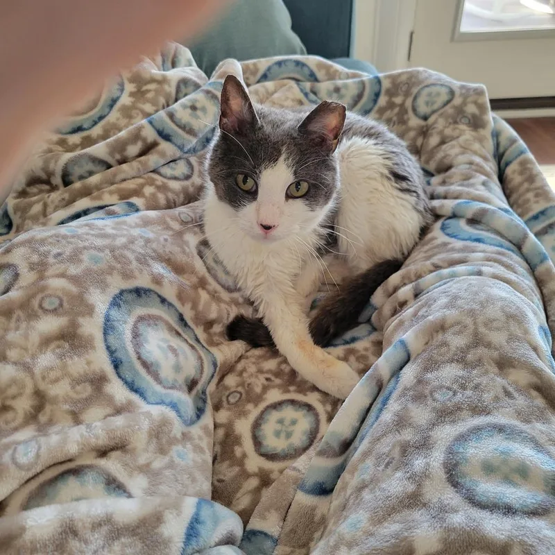 Frederick thumbnail 2