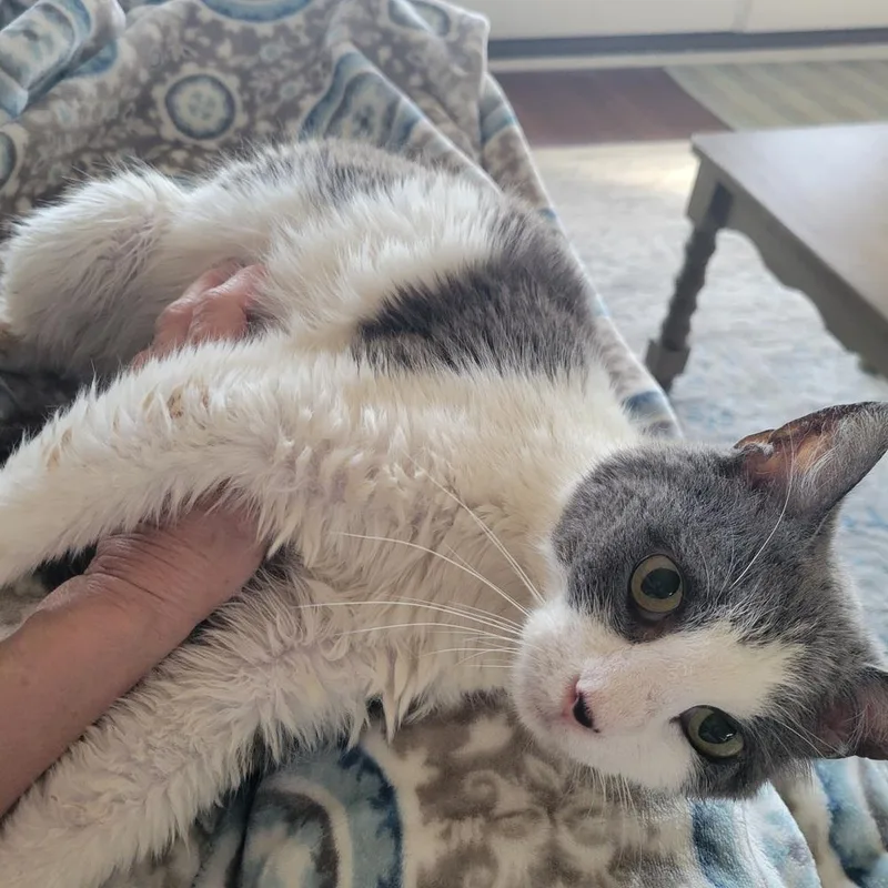 Frederick thumbnail 5