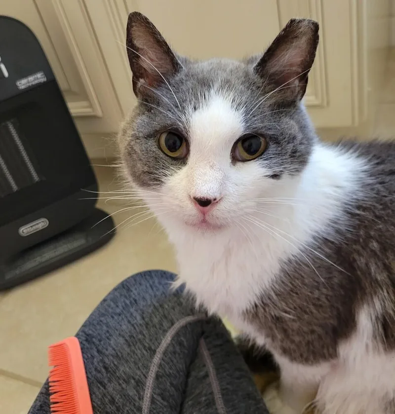 Frederick thumbnail 6