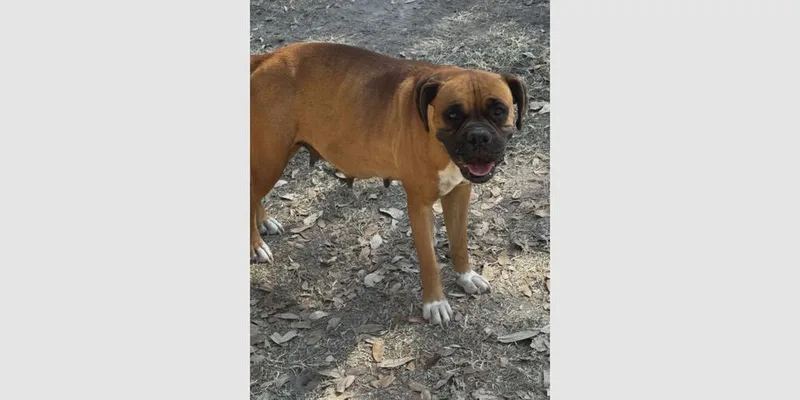 Penleigh thumbnail 2