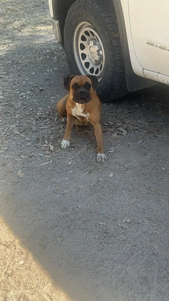 Penleigh thumbnail 3