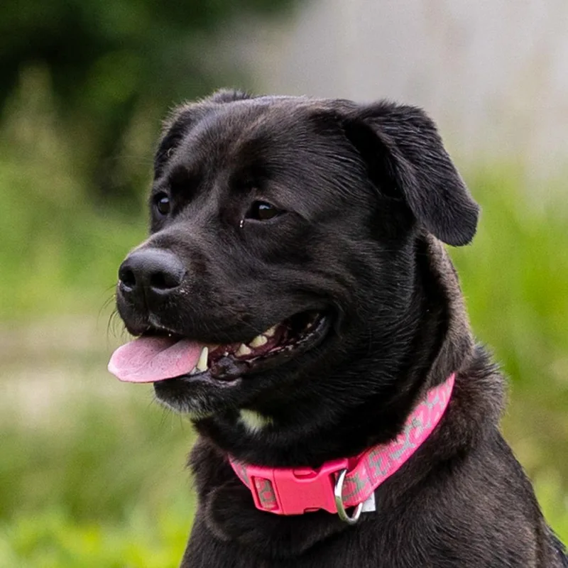 Ella Mae