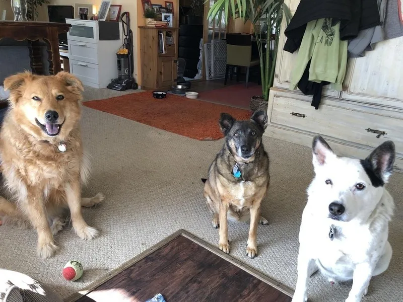 Meeka thumbnail 2
