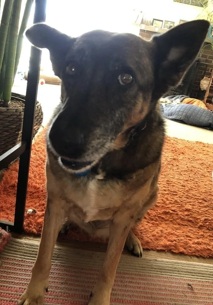 Meeka thumbnail 4