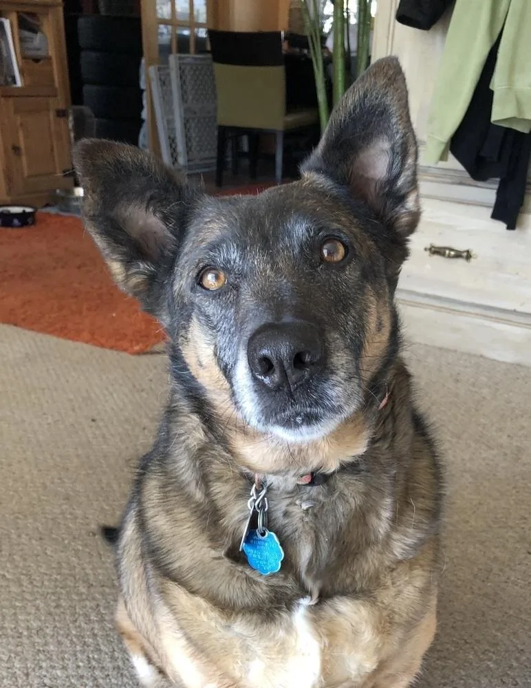 Meeka thumbnail 5
