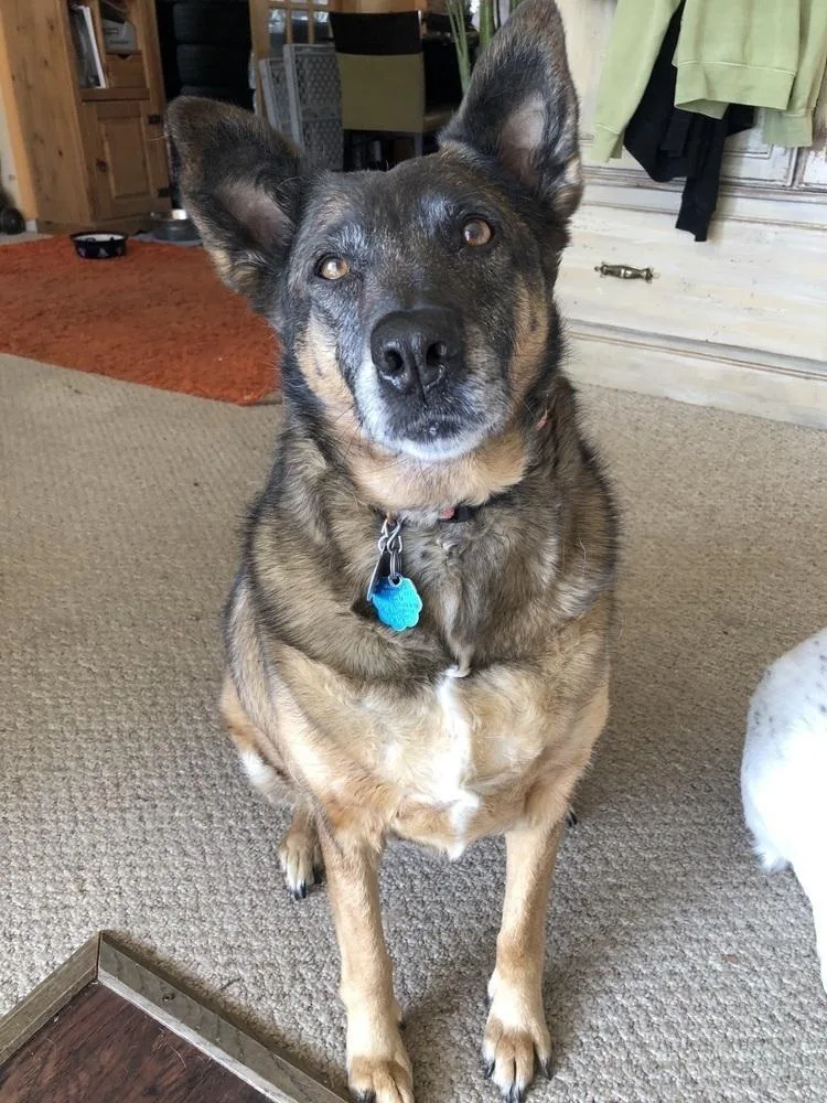 Meeka thumbnail 6