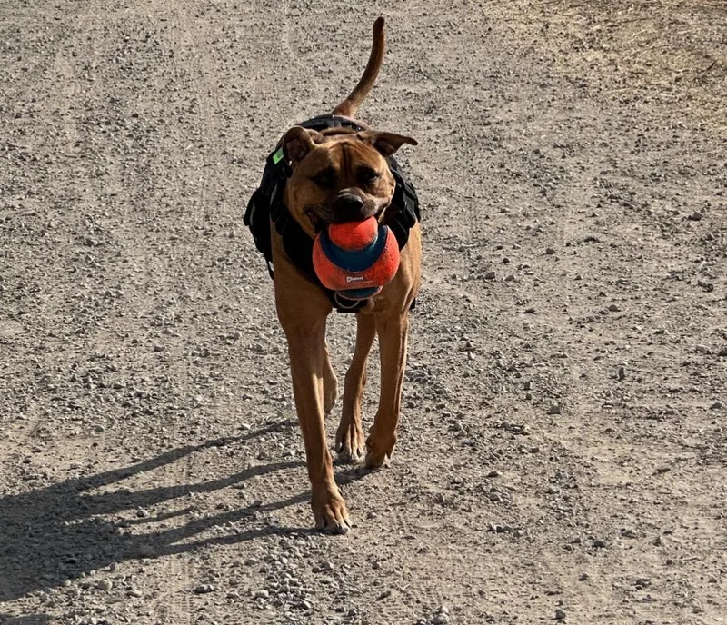 Cjay  Goof  thumbnail 2