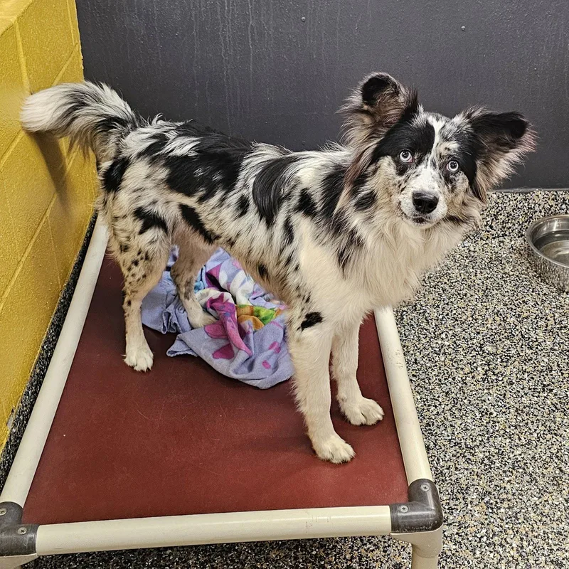 Stocking thumbnail 2