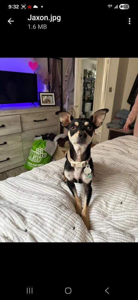 Jaxon thumbnail 2