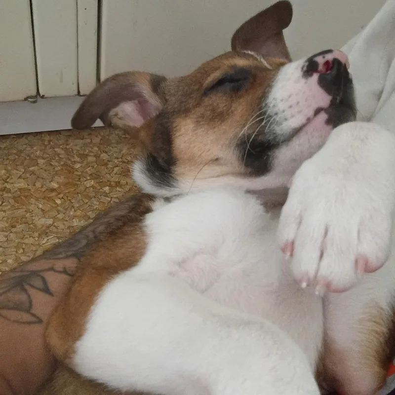 Happy thumbnail 2