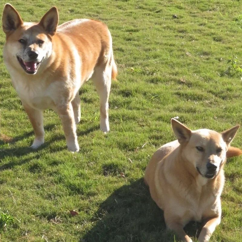 Kia And Mooch thumbnail 3