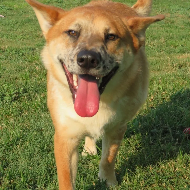 Kia And Mooch thumbnail 5