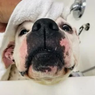 Freckles thumbnail 2