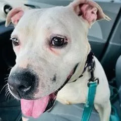 Freckles thumbnail 3