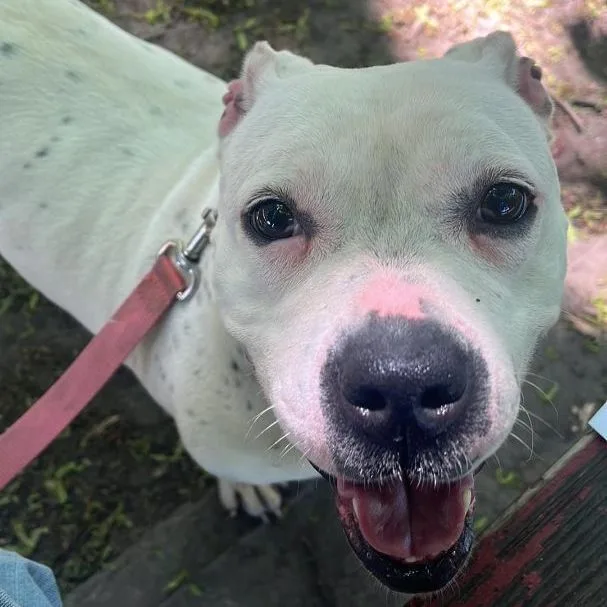 Freckles thumbnail 4