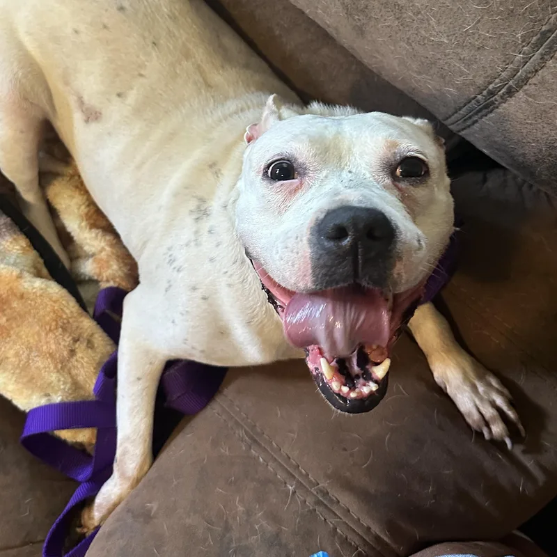 Freckles thumbnail 5