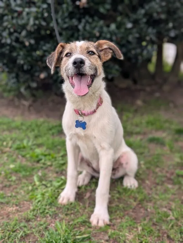 Confetti thumbnail 2