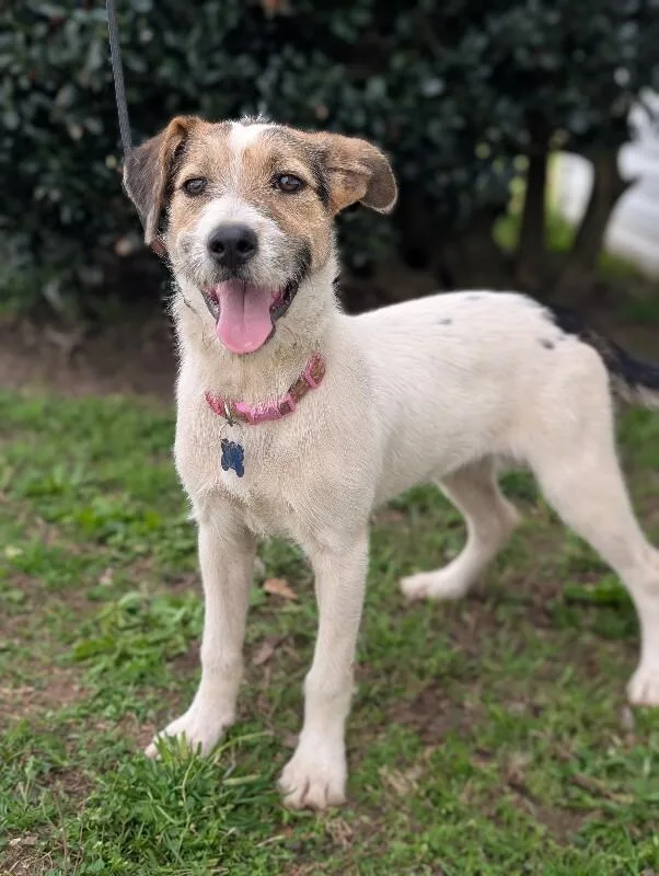 Confetti thumbnail 5