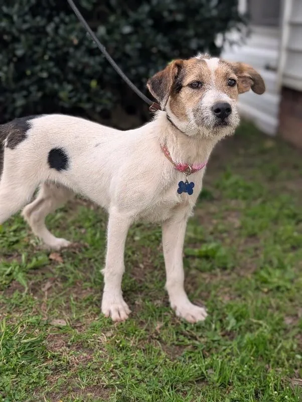 Confetti thumbnail 6