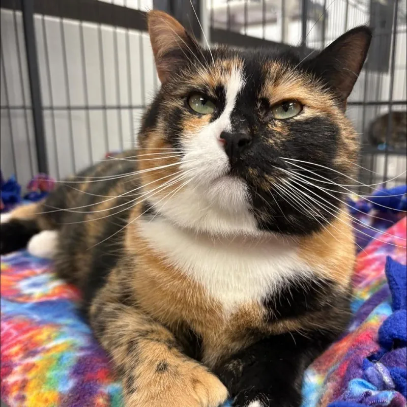 Izzy Aka Millie thumbnail 2