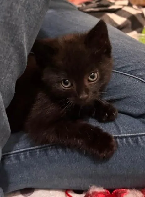 Eldridge thumbnail 3