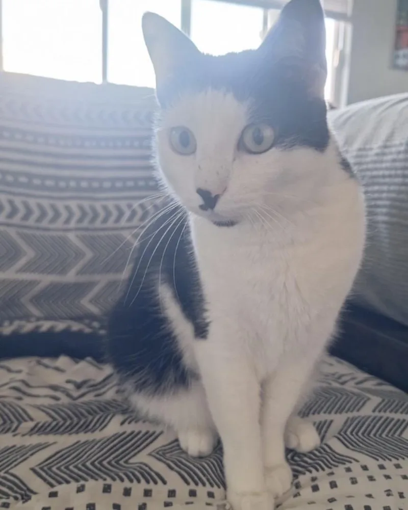 Dottie thumbnail 2