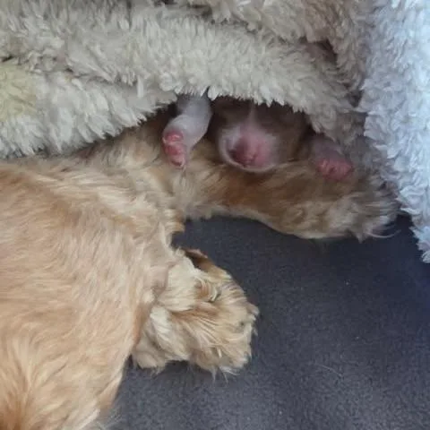 Duncan Joseph thumbnail 2