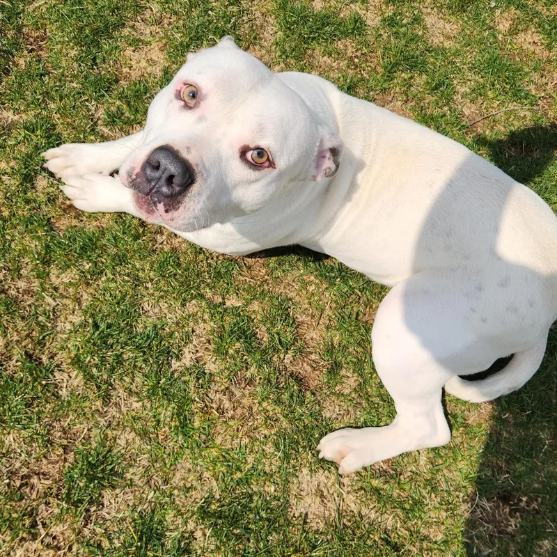 Ron Isley thumbnail 2