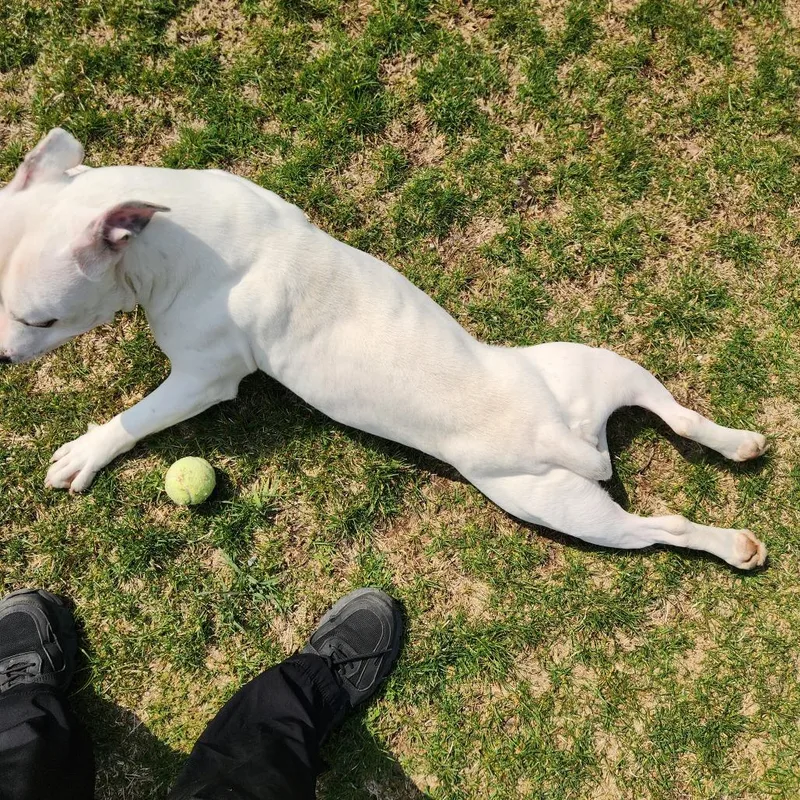 Ron Isley thumbnail 4